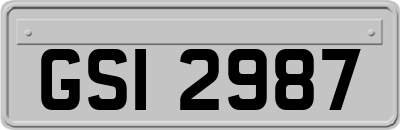 GSI2987