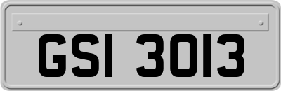GSI3013