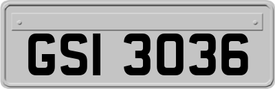 GSI3036