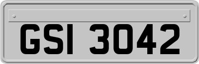 GSI3042
