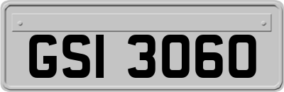 GSI3060