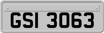 GSI3063