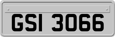 GSI3066