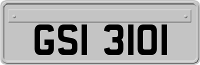 GSI3101