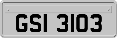 GSI3103