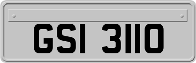 GSI3110