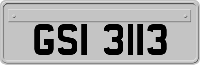 GSI3113