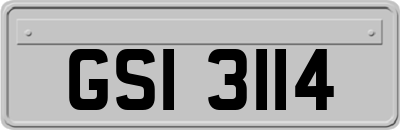GSI3114