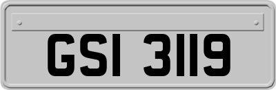 GSI3119