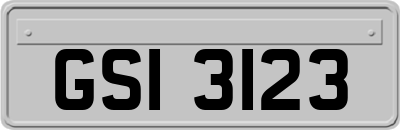 GSI3123