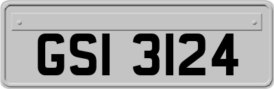 GSI3124