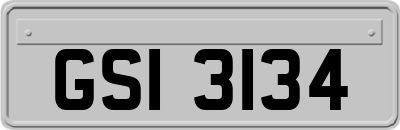 GSI3134