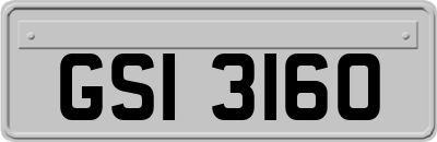 GSI3160