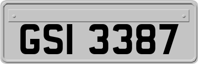 GSI3387