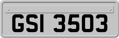 GSI3503