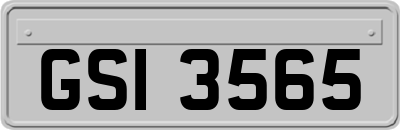 GSI3565