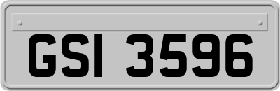GSI3596
