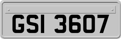 GSI3607