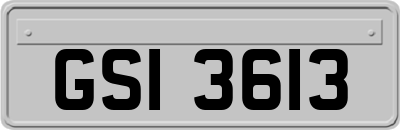 GSI3613
