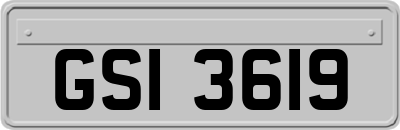 GSI3619