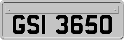 GSI3650