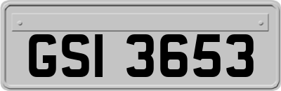 GSI3653