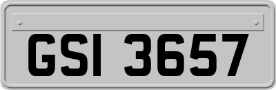 GSI3657