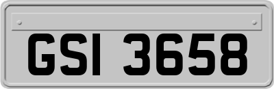 GSI3658