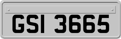 GSI3665