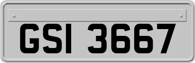 GSI3667