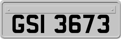 GSI3673