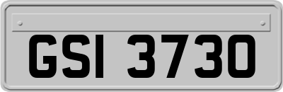 GSI3730