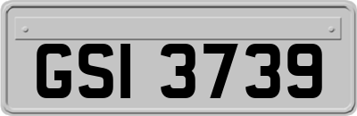 GSI3739