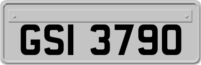 GSI3790