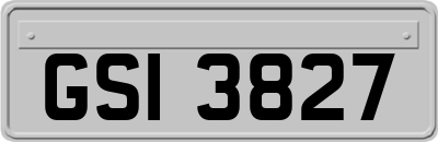 GSI3827