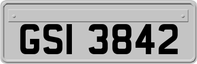 GSI3842