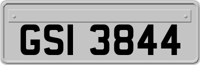 GSI3844