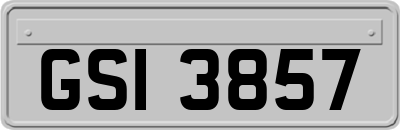 GSI3857