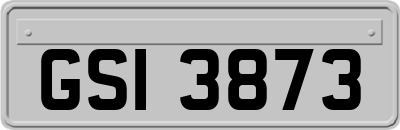 GSI3873