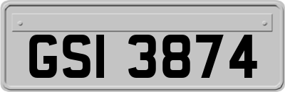 GSI3874