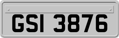 GSI3876