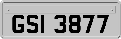 GSI3877