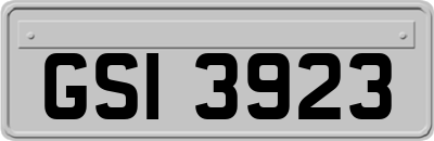 GSI3923