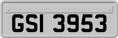 GSI3953