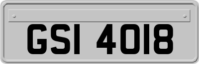 GSI4018