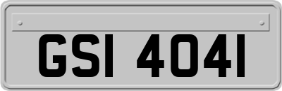 GSI4041