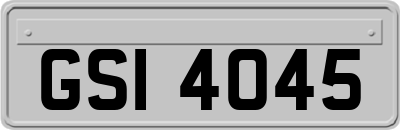 GSI4045