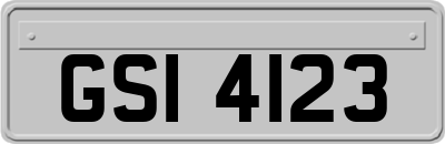 GSI4123