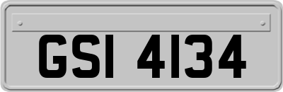 GSI4134