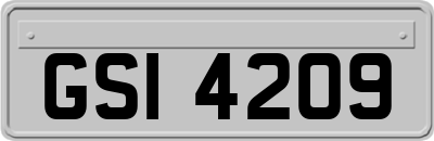 GSI4209